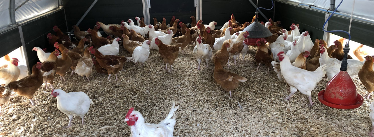 22AlternativeTreatments